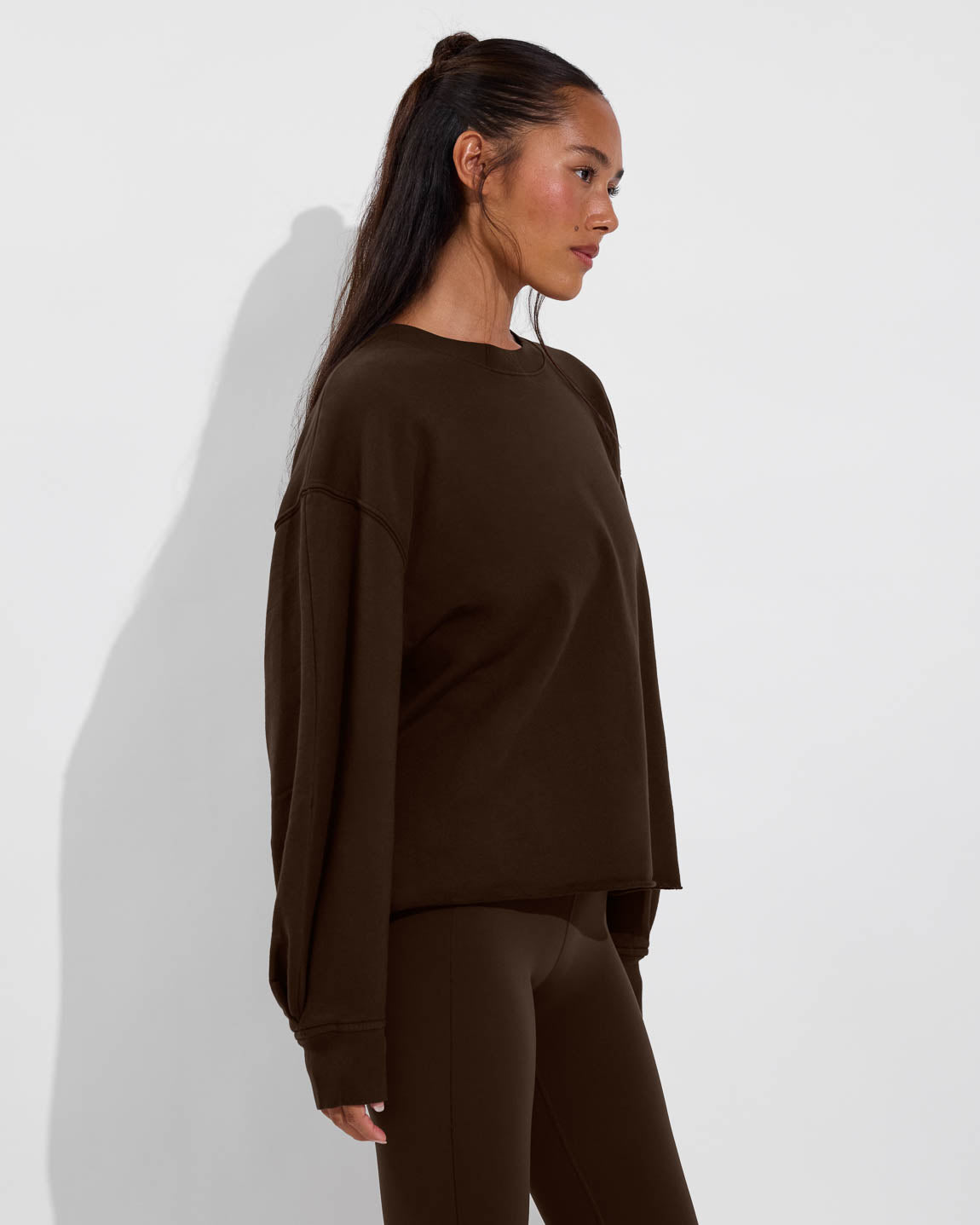 Field Day Sweatshirt - Cold Brew